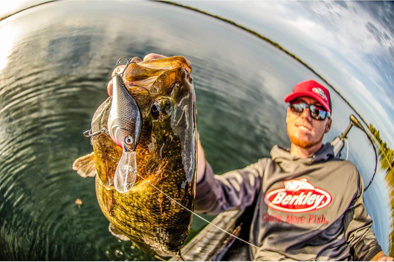 imageBerkley Crankbait Hard Fishing LuresGilly