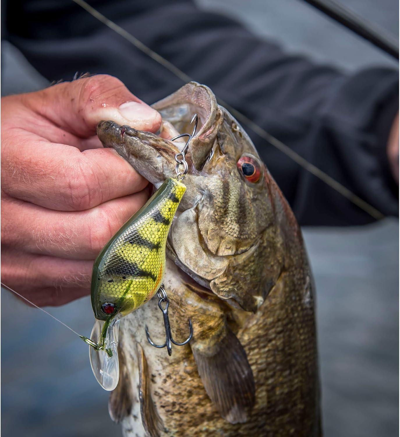 imageBerkley Crankbait Hard Fishing LuresGilly