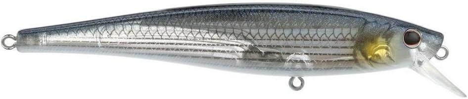 imageBerkley Cutter Saltwater Fishing Hard Bait Erratic Rolling Action Ideal for a Variety of Retrieves and Species Equipped with Fusion19 HookMullet