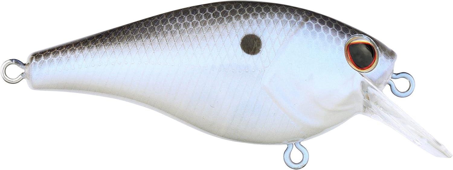 imageBerkley SquareBull Fishing Hard Bait Blue Shad 2 38in 38 oz