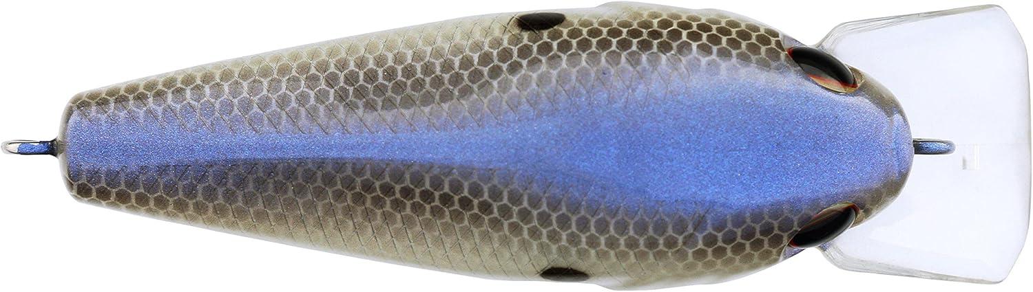 imageBerkley SquareBull Fishing Hard Bait Blue Shad 2 38in 38 oz