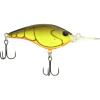 Rootbeer Craw