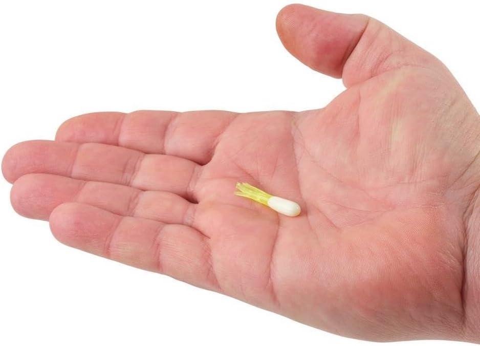 imageBerkley PowerBait Atomic Tubes Fishing Soft BaitWhite Chartreuse