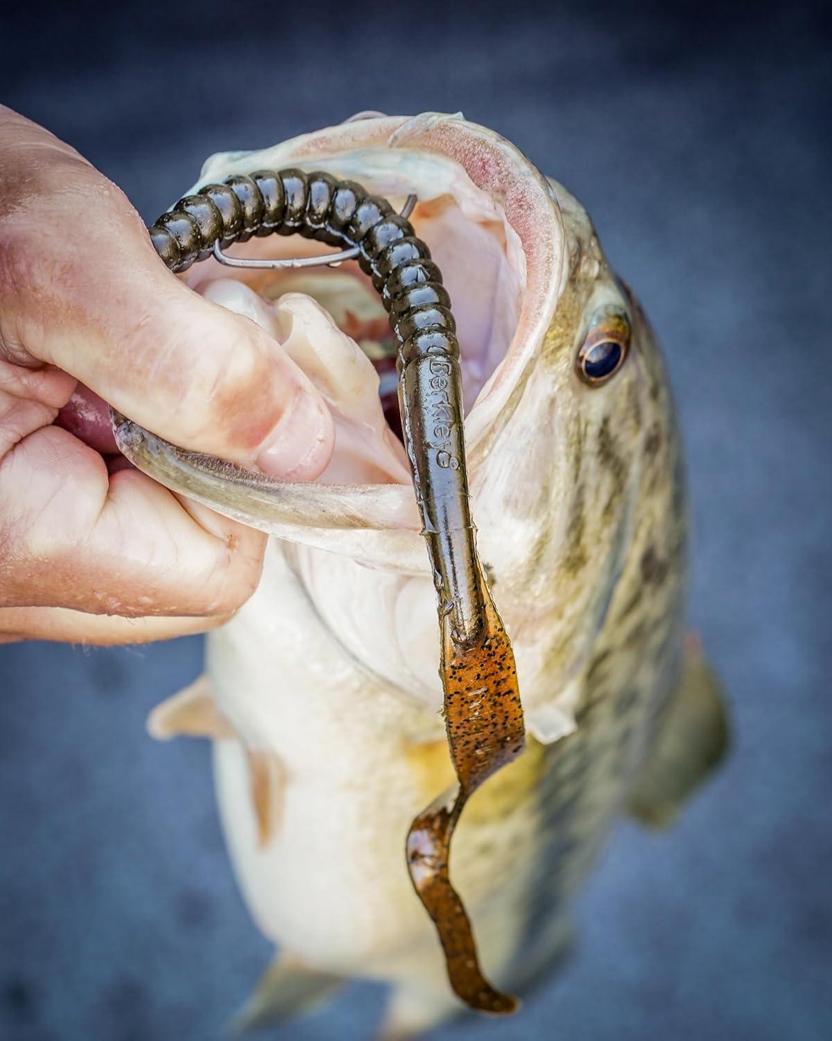 imageBerkley PowerBait Power Worms Fishing Soft BaitBlackChartreuse