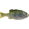 HD Pilchard