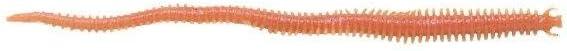 imageBerkley Gulp Sandworm Saltwater Fishing Soft Bait Camo 2in Green