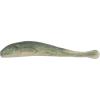 Sardine