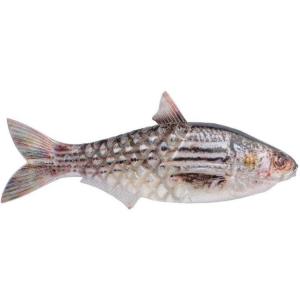 Berkley PowerBait Saltwater Gillydine Fishing Soft Bait(HD Mullet)
