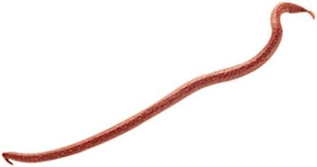 imageEarthworm Gulp by BerkleyRed Wiggler