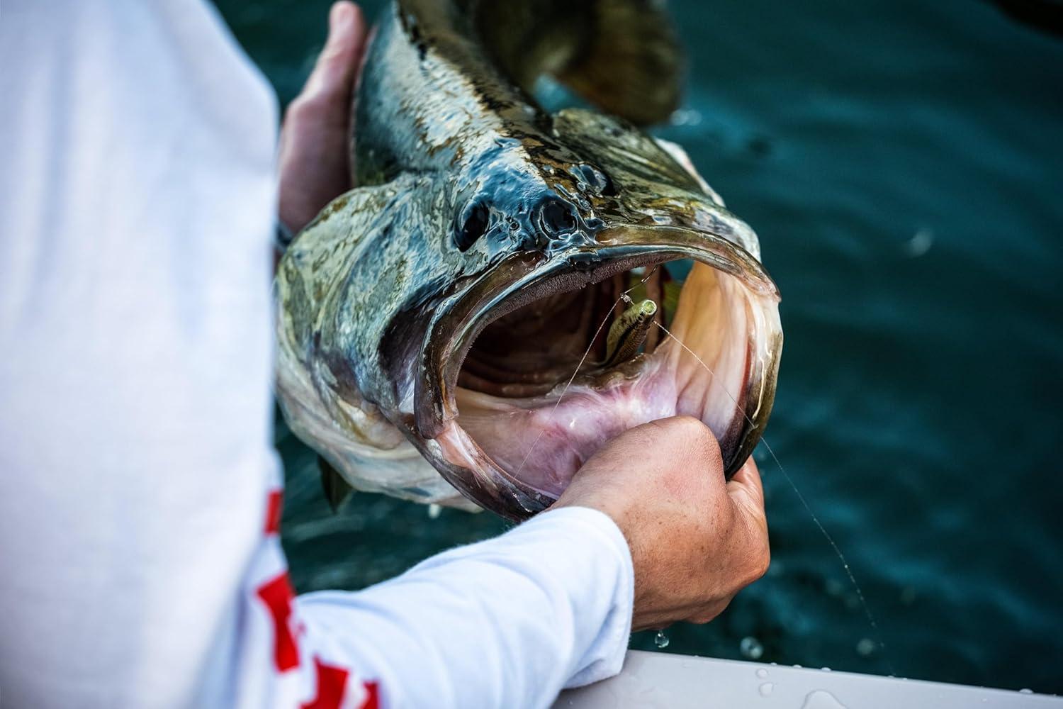 imageBerkley PowerBait The Champ Minnow Fishing Bait HD Bluegill 25in Irresistible Scent and Flavor Ideal for Bass and Walleye