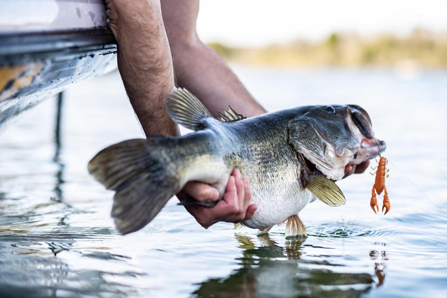 imageBerkley The Champ CrawHD Rusty Craw
