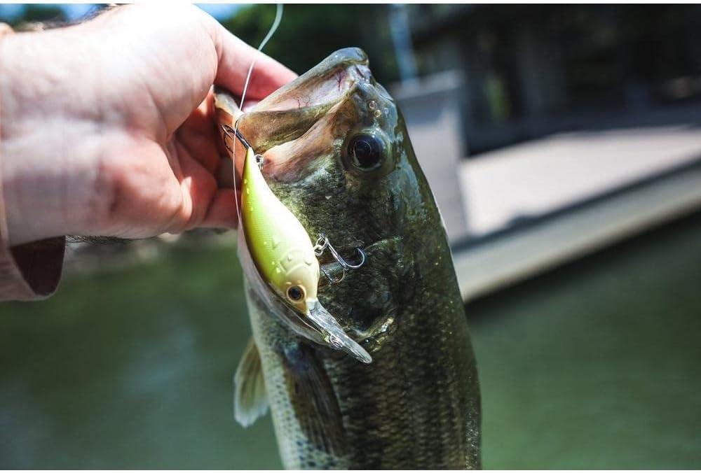 imageBerkley Money Badger Fishing Hard BaitBlack Gold