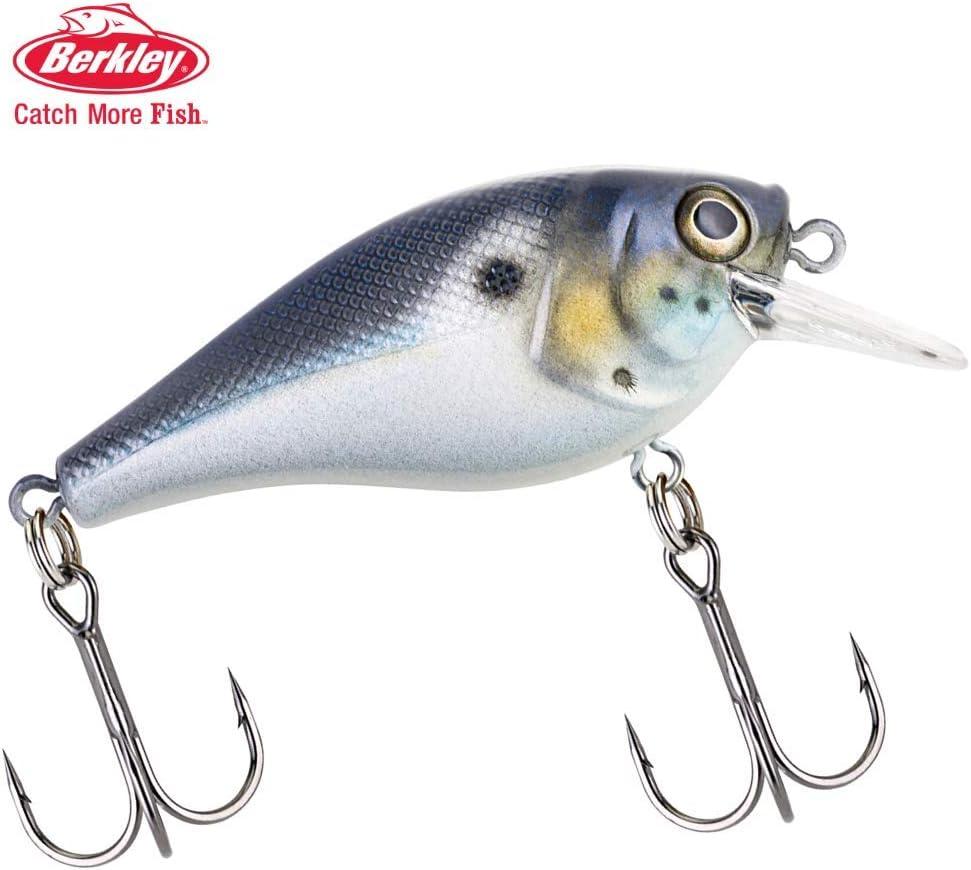 imageBerkley SquareBull Gilly 55Blue Back