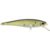 HD Pilchard