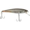 Mangrove Minnow