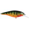 Flashy Perch
