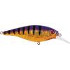 Slick Purple Bengal