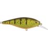Yellow Perch