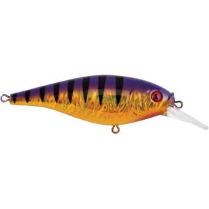 Berkley Flicker Shad Shallow(Slick Purple Bengal)