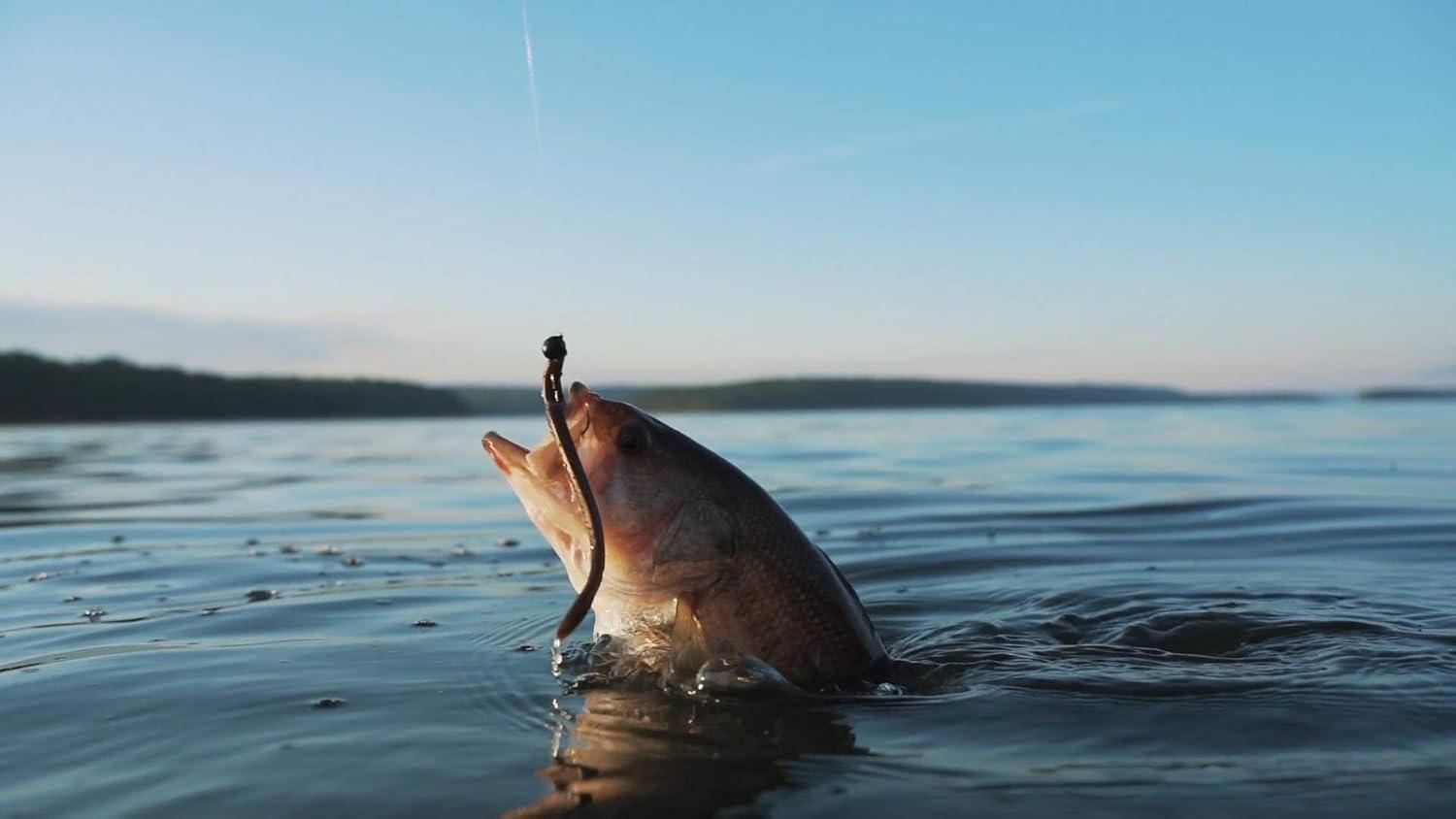 imageBerkley PowerBait Bottom Hopper Fishing Soft BaitGreen Pumpkin Red