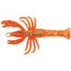 Orange Belly Shrimp
