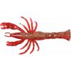 Red Belly Shrimp